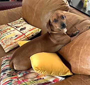 Photo of Timber