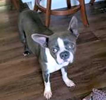 Photo of Molly