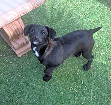 Photo of Java