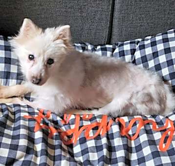 Photo of Abby Gabby