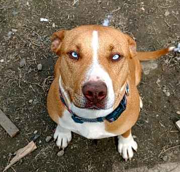Photo of Roxy