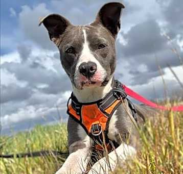 Photo of *SOOKIE