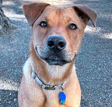 Photo of *BOONE