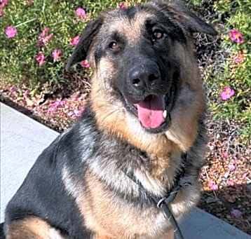 Photo of *HUNTER