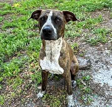 Photo of Maizey