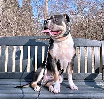 Photo of Romeo