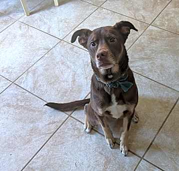 Photo of Luna
