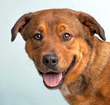 Photo of Mabusha