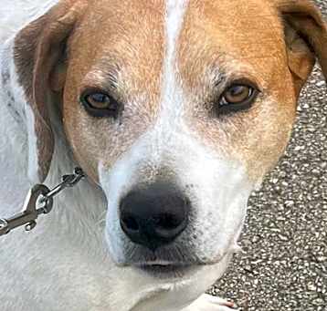 Photo of Fonzie