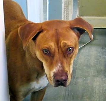 Photo of Beulah