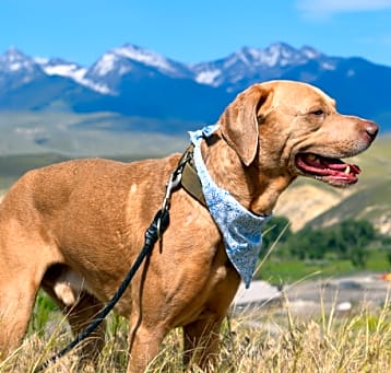 Photo of Zeus