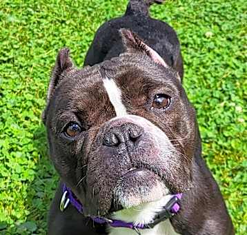 Photo of Marie