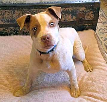 Photo of Tucker