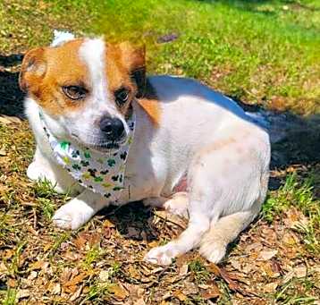 Photo of Queso