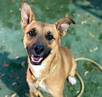 Photo of Winifred