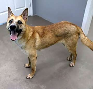 Photo of Taz