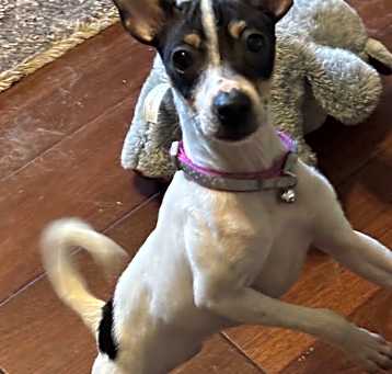 Photo of Izzy