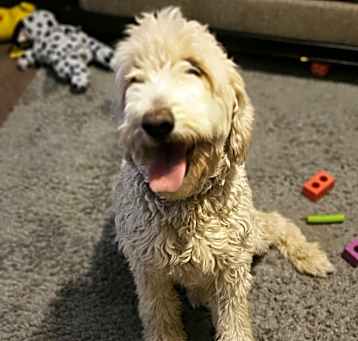 Photo of Charlie