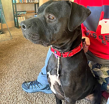 Photo of Onyx
