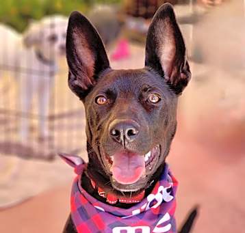 Photo of Lilah