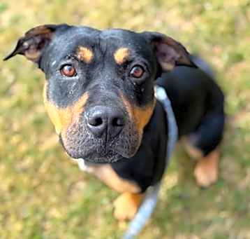 Photo of Bane