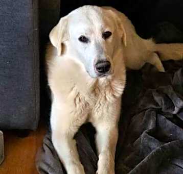 Photo of Aspen