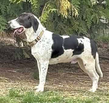 Photo of Hubert