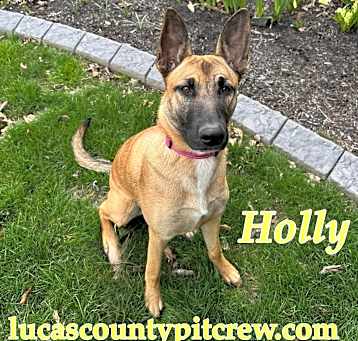 Photo of Holly
