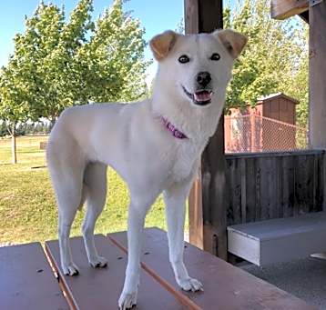 Photo of Emma (in foster care)