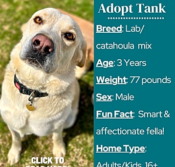 Photo of Tank