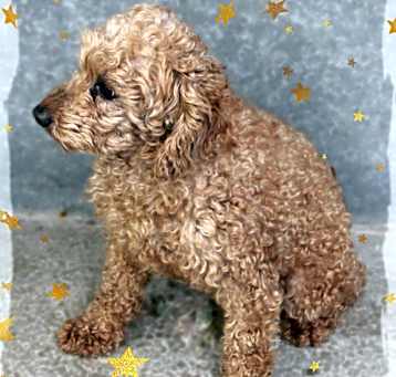 Photo of Edith