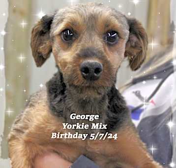 Photo of George