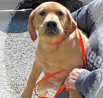 Photo of Walker
