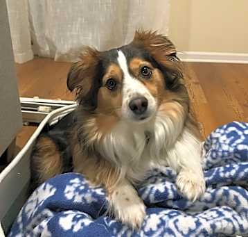 Photo of Oakley
