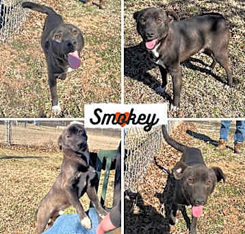 Photo of Smokey