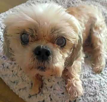 Photo of Darby