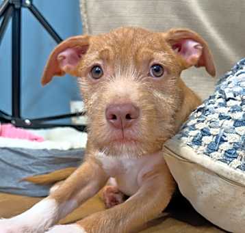 Photo of Fisher