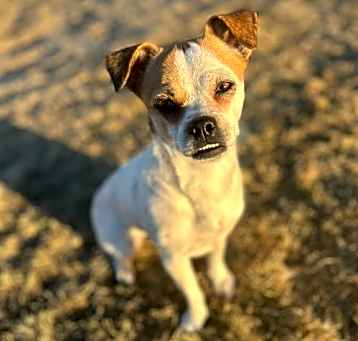 Photo of Lucky
