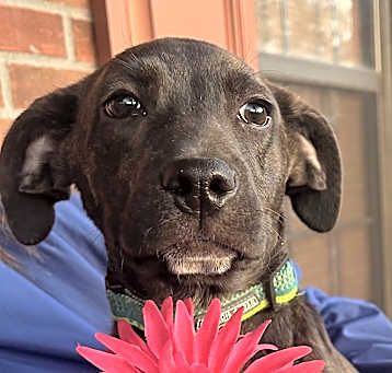Photo of Holly Jo ~ meet me!