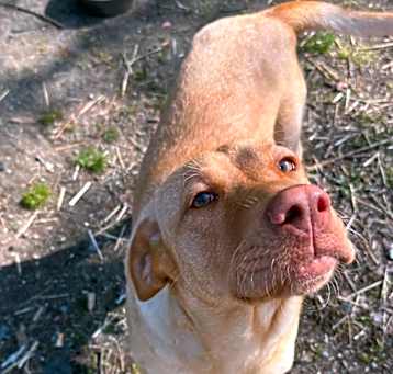 Photo of Sandy