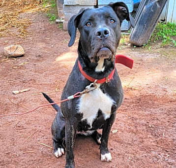 Photo of Reign