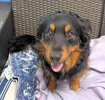 Photo of Duncan