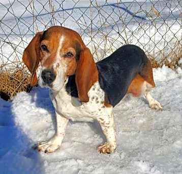 Photo of Maggie (6599)