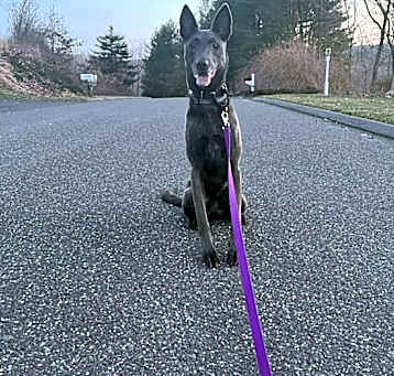 Photo of April - Located in New Hampshire