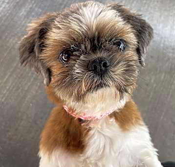 Photo of Mable