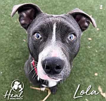 Photo of Lola