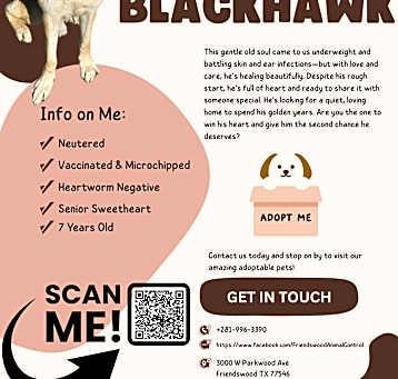 Photo of Blackhawk