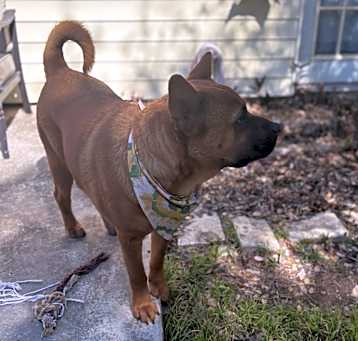 Photo of Oso