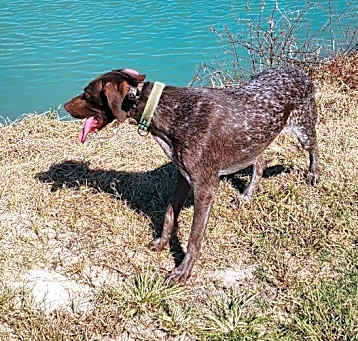 Photo of Reese