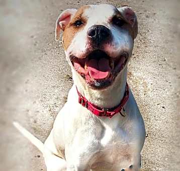 Photo of TUCKER